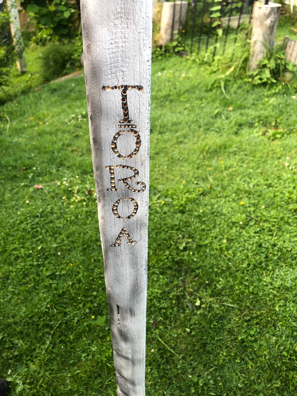 Tōroa (Albtross) - Popular, orders taken $255